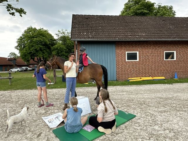 Kinder lernen auf Matten im Reitplatz, ein Kind sitzt auf dem Pony