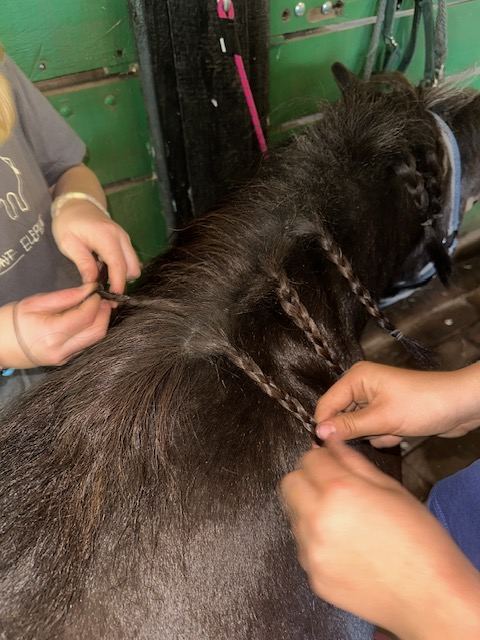 Kinder flechten die Mähne eines Ponys