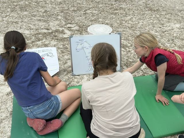 Kinder lösen Aufgaben rund ums Pferd an der Tafel