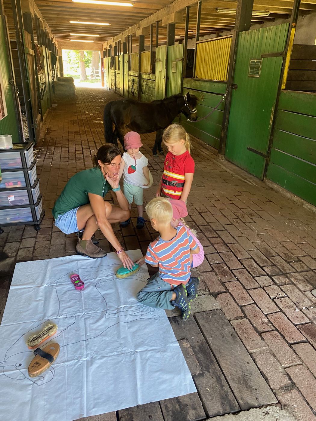 Kleine Kinder lernen das Putzzeug kennen, im Hintergrund wartet ein Pony